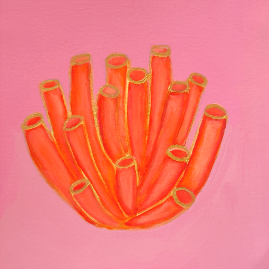 Sunset Coral