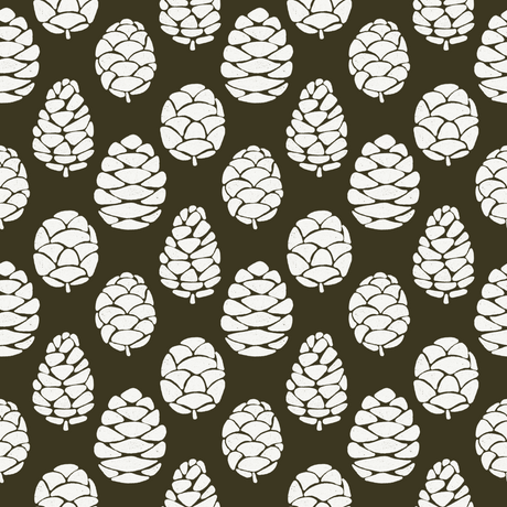 Winter Cones